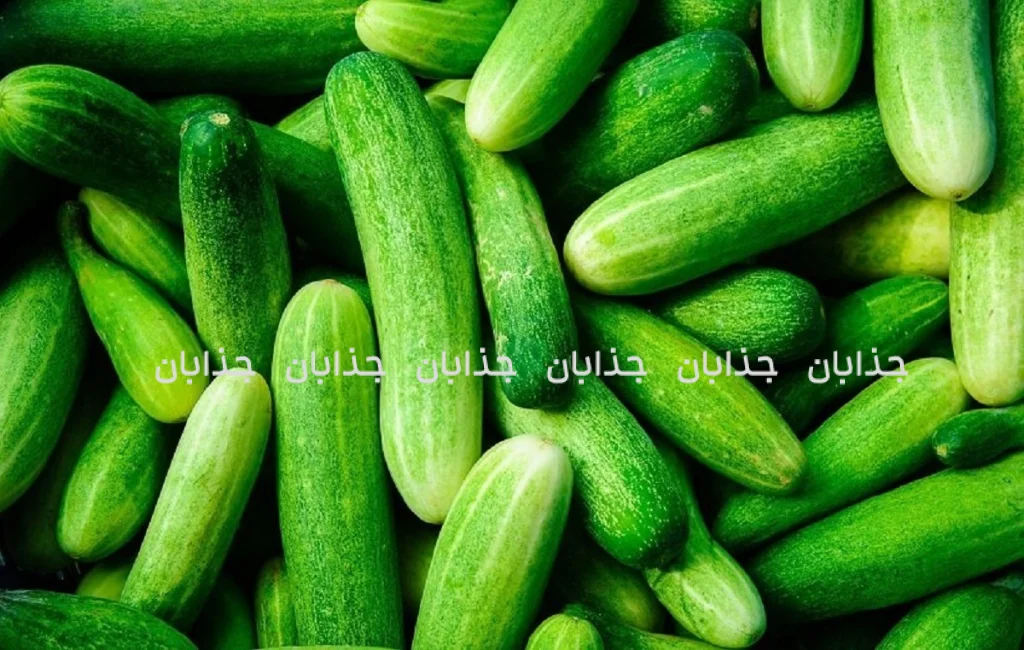 خیار: قهرمان گمنام آبرسانی و تأثیرات شگفت‌انگیز آن بر سلامت