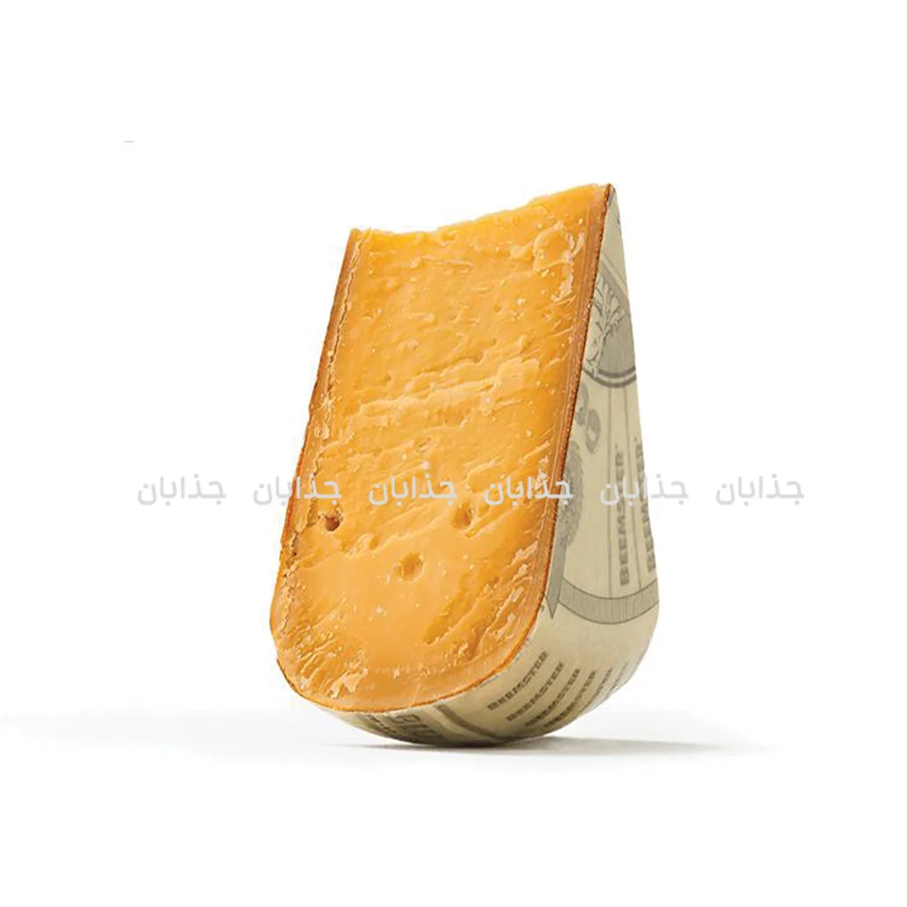 خوشمزهترین پنیرهای جهان؛ سفری لذیذ به دنیای طعمها 🧀