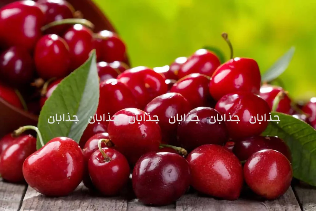 آلبالو: گنجینه ترش مزه و تأثیرات شگفت‌انگیز آن بر سلامت بدن